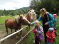 gal/2017/14_Basecamp Sumava/_thb_DSCN8841.JPG